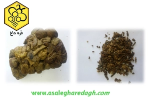 قیمت بره موم سبز