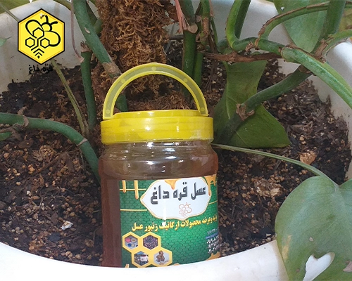 قیمت روز عسل تغذیه