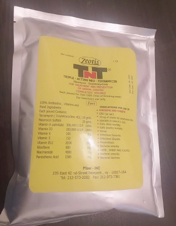 قیمت تقویتی زنبورعسل