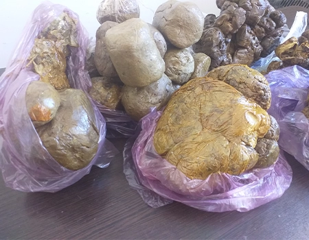 بره موم اردبیل