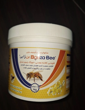 قیمت بن زا بی