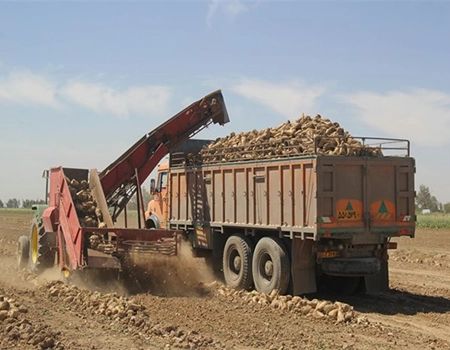 خرید تفاله چغندر