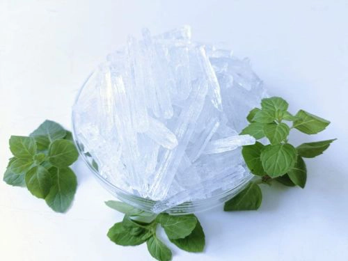 منتول