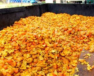 تفاله پرتقال