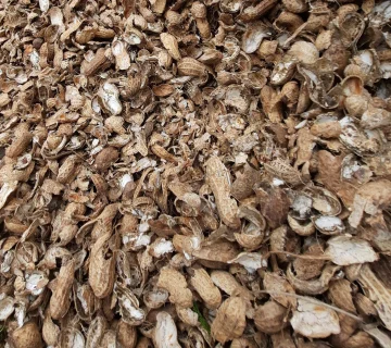 پوست بادام زمینی