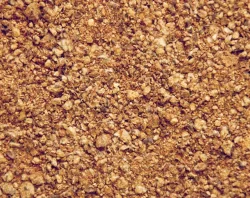کنجاله پنبه