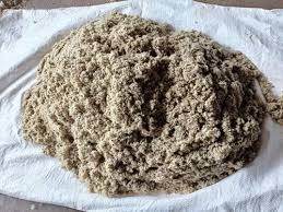 کنجاله پنبه
