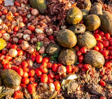 ضایعات میوه