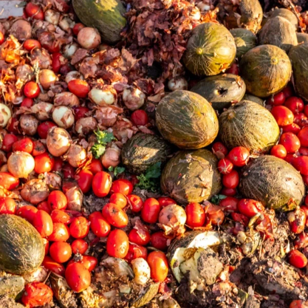 ضایعات میوه