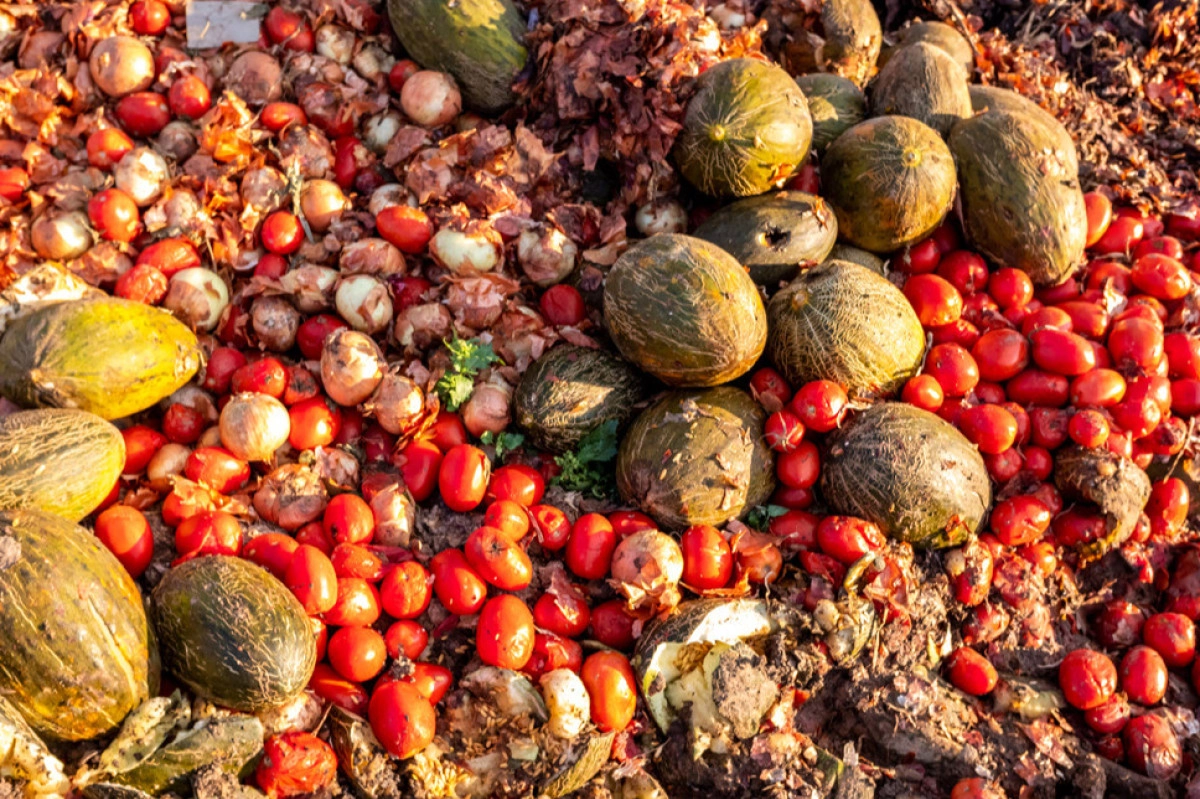 ضایعات میوه