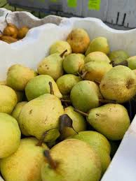 تفاله گلابی